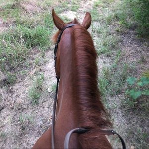 Meet your Posher, Jenna